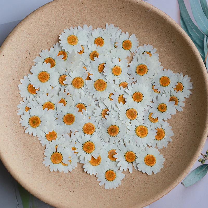 60 Adet Preslenmiş Kurutulmuş  - Dried Flower Bookmark incelemesi ve fiyatı