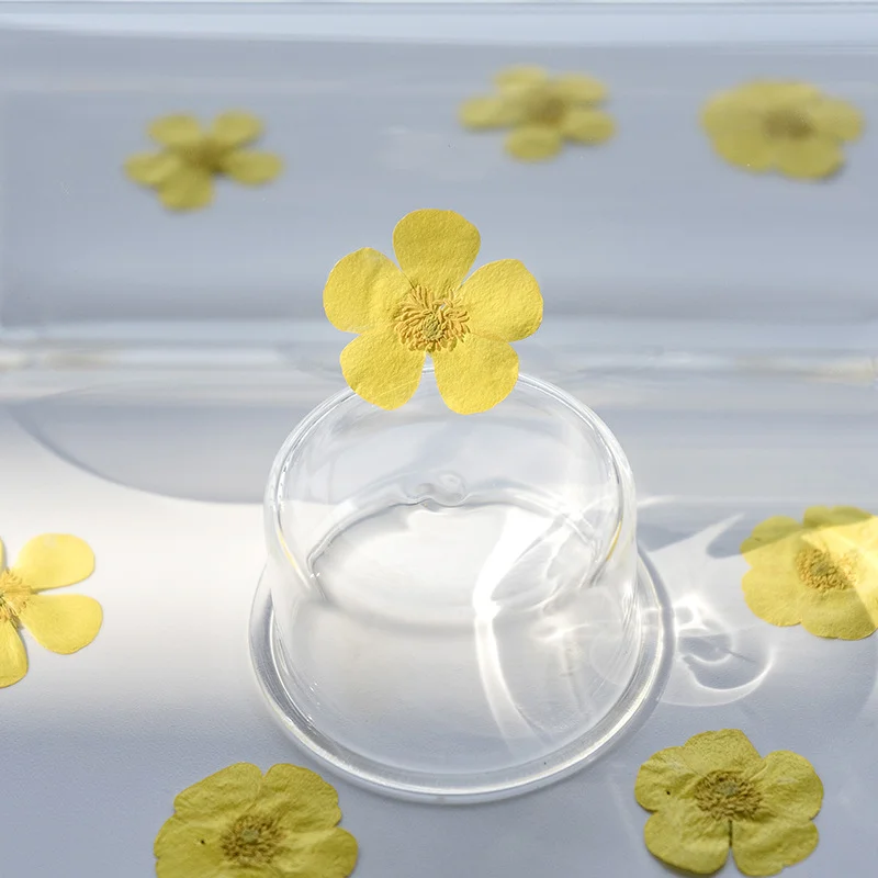 100 Adet Kurutulmuş Ranunculus - Dried Flower Bookmark incelemesi ve fiyatı
