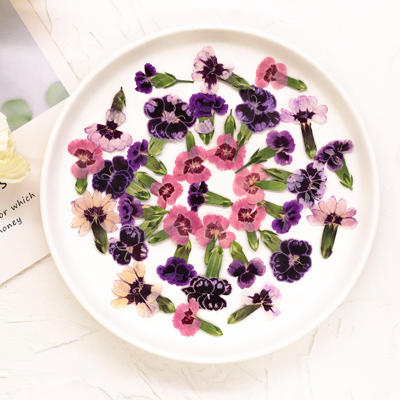 24 adet, Preslenmiş Kurutulmuş - Dried Flower Bookmark incelemesi ve fiyatı